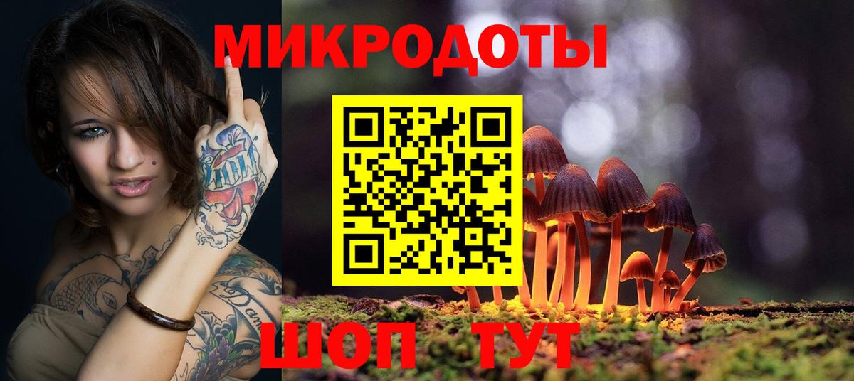 Псилоцибиновые грибы Psilocybine cubensis Волгоград