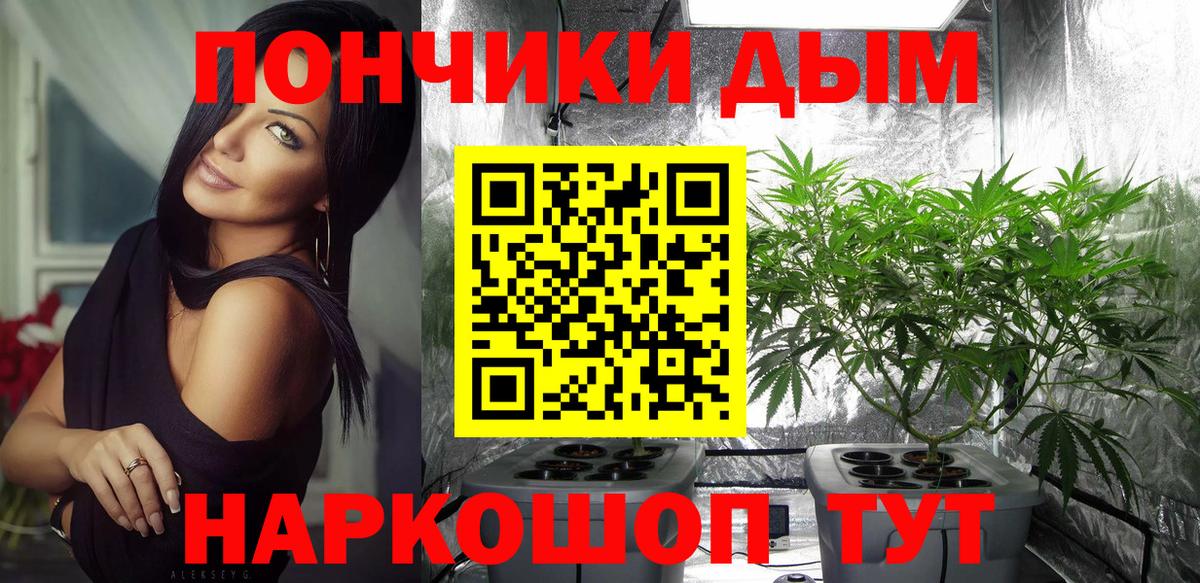 Канабис White Widow  Вход с VPN  Канабис OG Kush  Волгоград  МАРИХУАНА сатива  МАРИХУАНА сатива 